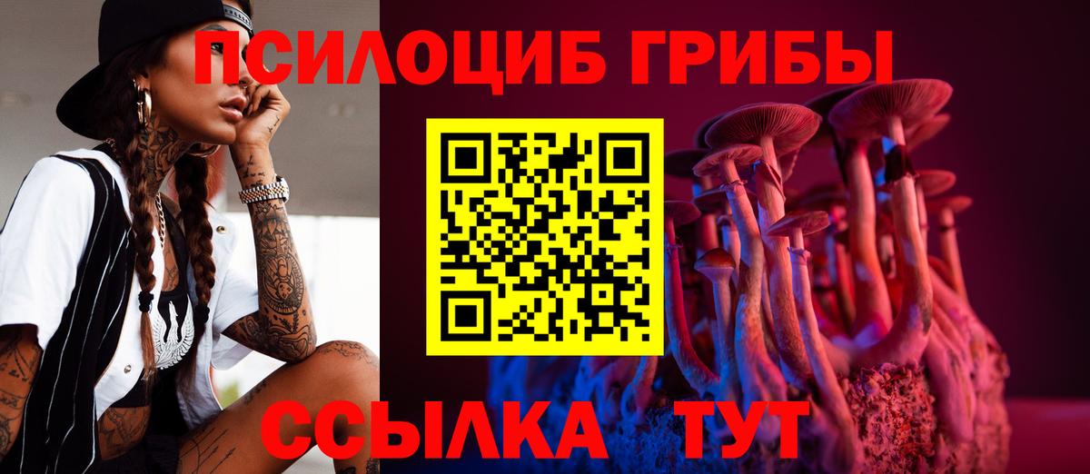 Псилоцибиновые грибы прущие грибы  Вход с VPN  Лесной 